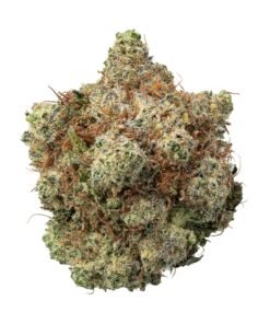 Bubble Gum Weed