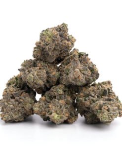 Gary Payton Weed