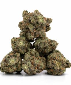Jack Herer Weed