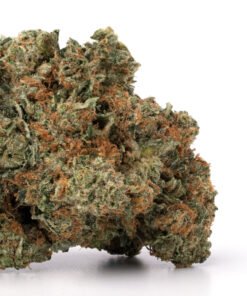 Pink Kush