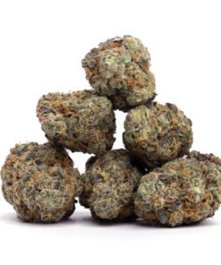 Purple Punch Weed